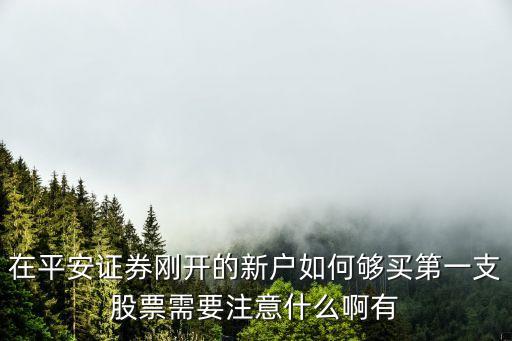 在平安证券刚开的新户如何够买第一支股票需要注意什么啊有