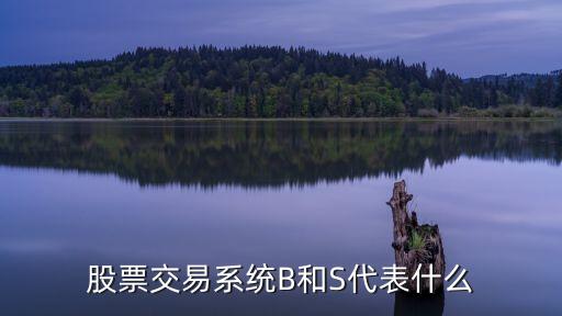 伦敦股票B是什么意思，股票交易系统B和S代表什么