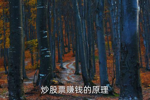 炒股票赚钱的原理