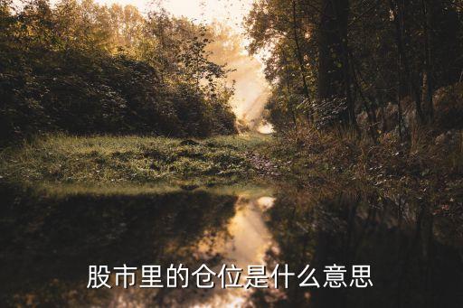 股市里的仓位是什么意思