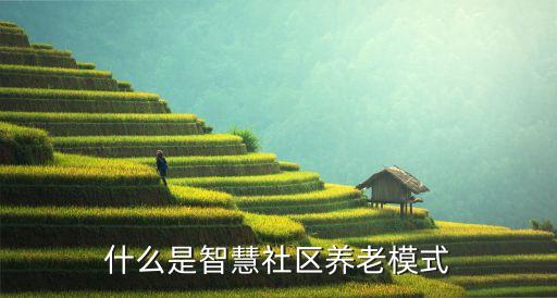 什么是智慧社区养老模式