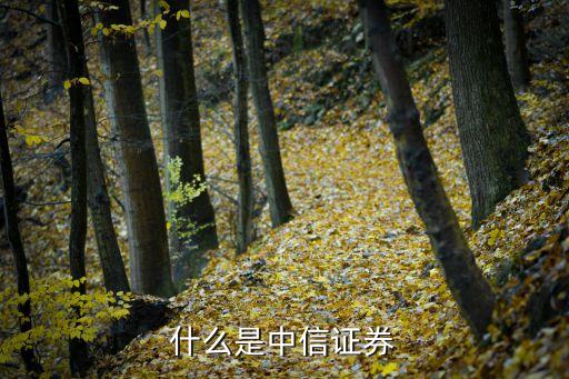 什么是中信证券的股票账户，什么是中信证券