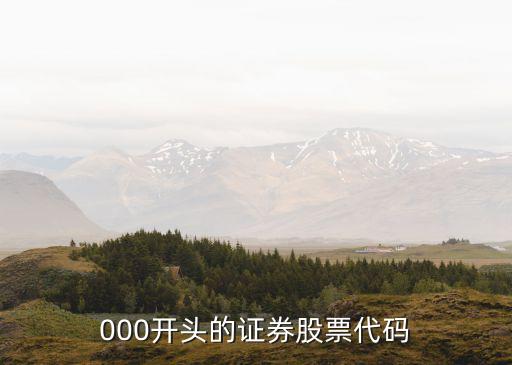 000开头的证券股票代码