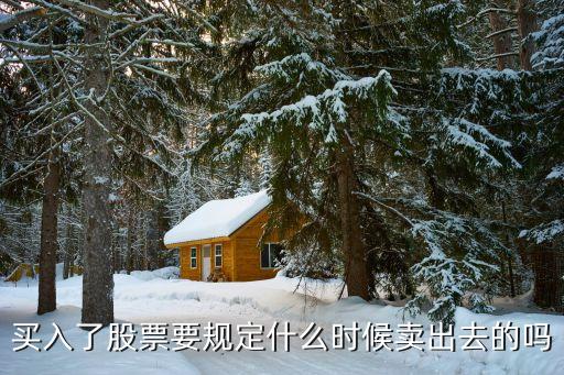 买入了股票要规定什么时候卖出去的吗