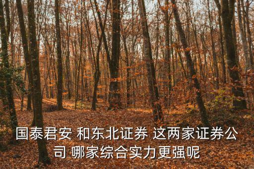 国泰君安 和东北证券 这两家证券公司 哪家综合实力更强呢