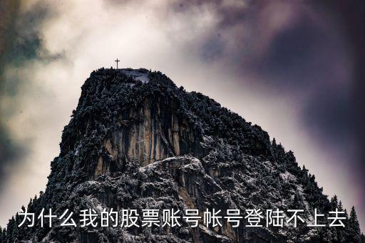 为什么我的股票账号帐号登陆不上去