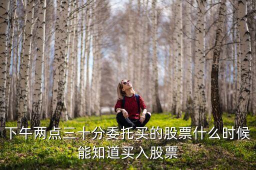 买入的股票什么时候显示，网上委托买入股票什么时候可查询