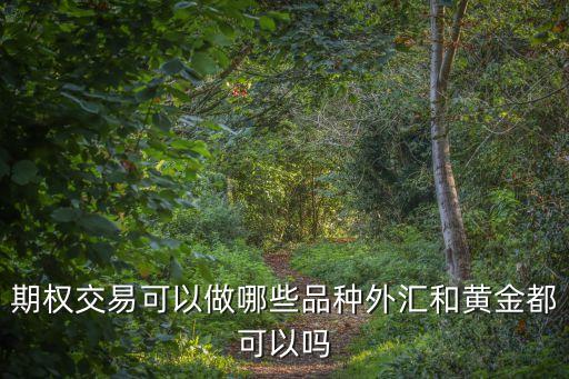 期权交易可以做哪些品种外汇和黄金都可以吗