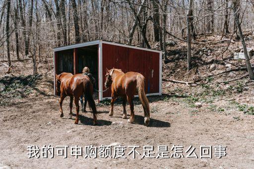 我的可申购额度不足是怎么回事