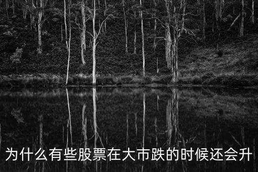 为什么有些股票在大市跌的时候还会升