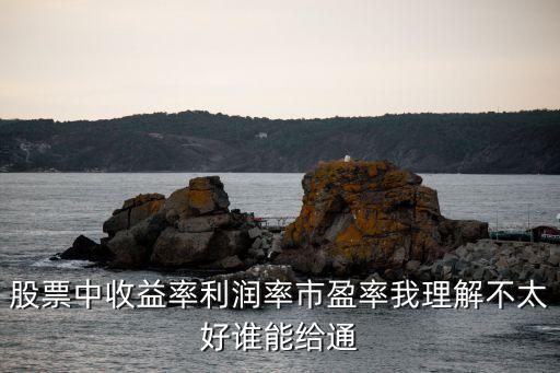 股票中收益率利润率市盈率我理解不太好谁能给通