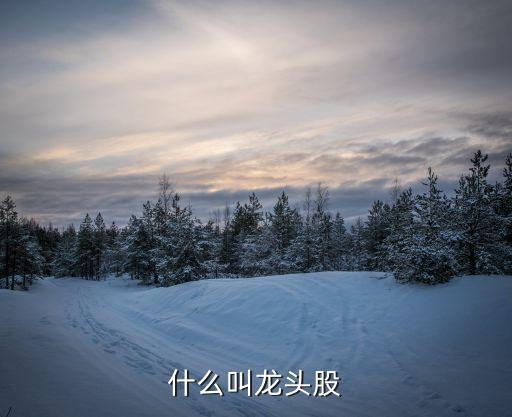 什么叫龙头股
