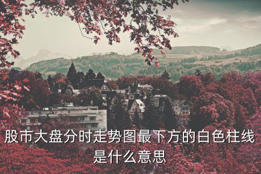 股市大盘分时走势图最下方的白色柱线是什么意思
