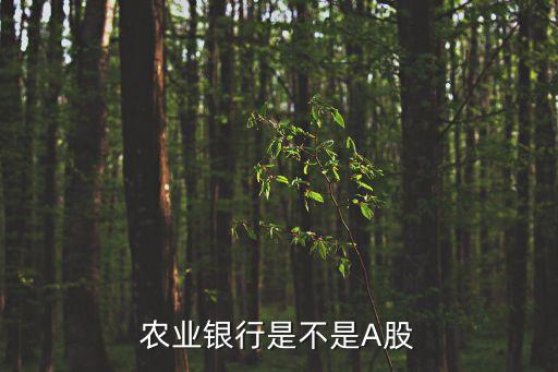 农业银行是不是A股
