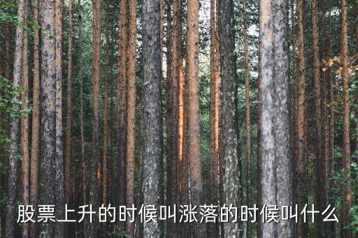 股票上涨的部分叫做什么，股票上涨叫什么