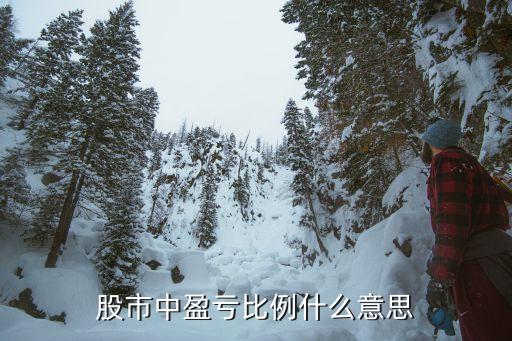 股票盈亏比是什么意思，股票中的盈亏比例是怎么算的