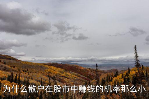 为什么买卖股票赚钱少，为何我炒股挣的钱这麽少