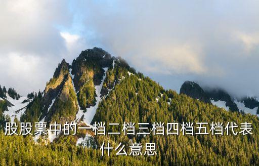 股股票中的一档二档三档四档五档代表什么意思