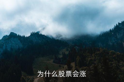 以前的股票为什么会涨了，为什么股票涨了