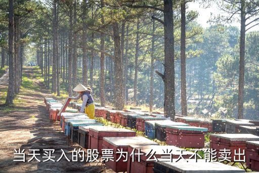 股票为什么当天不能卖，股票为什么不能当天买卖