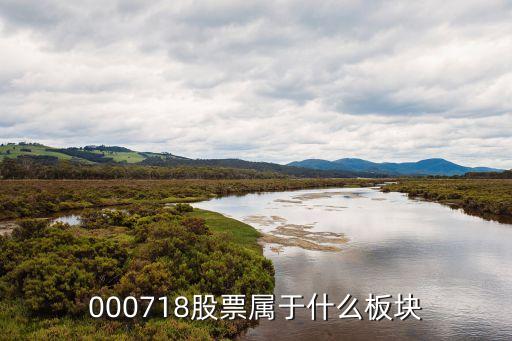 000718股票属于什么板块