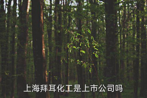 上海拜耳化工是上市公司吗