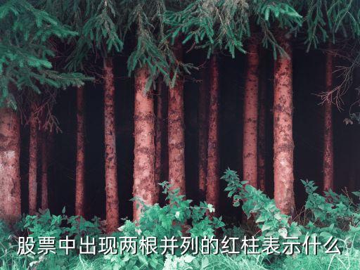股票中出现两根并列的红柱表示什么