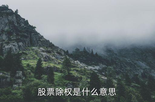 股票什么叫除权和不除权，请问股市中的除权是什么意思