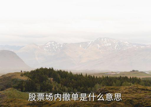 股票场内撤单是什么意思