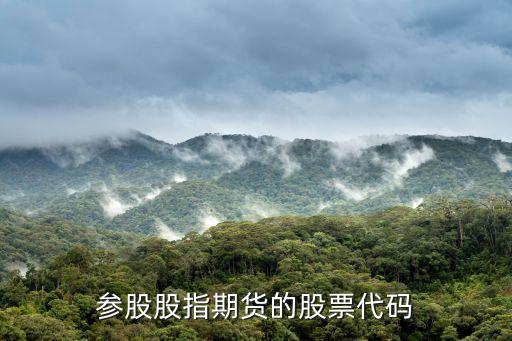 参股股指期货的股票代码