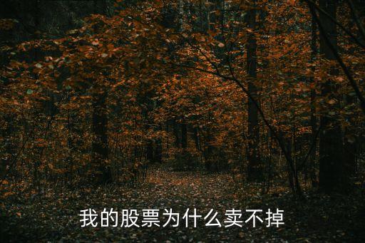 我的股票为什么卖不掉