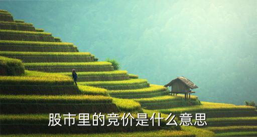 股票竞价交易指什么意思，股票竞价什么意思