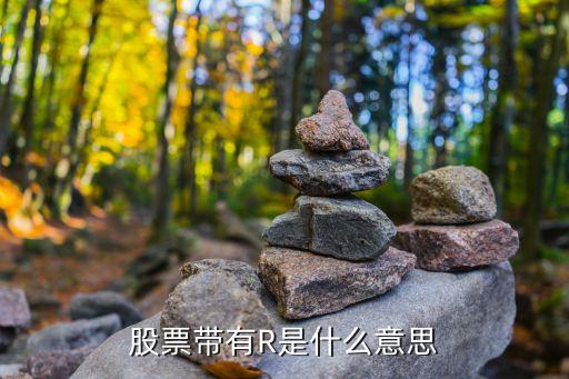 股票带有R是什么意思