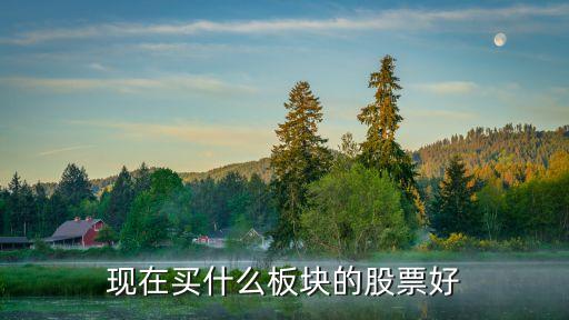 现在买什么板块的股票好
