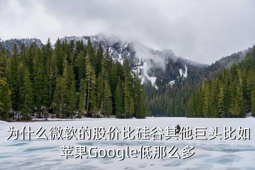 为什么微软的股价比硅谷其他巨头比如苹果Google低那么多