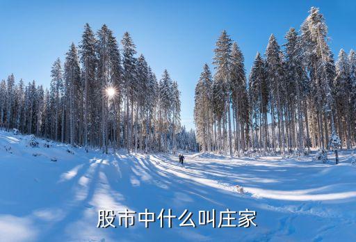 股市中什么叫庄家
