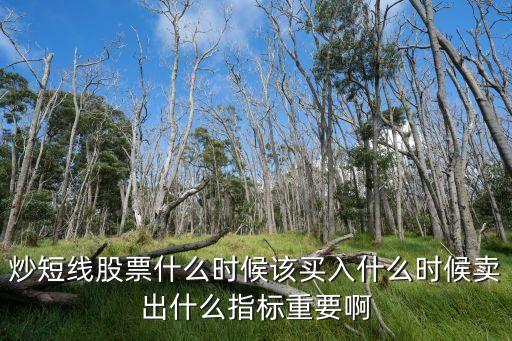 炒短线股票什么时候该买入什么时候卖出什么指标重要啊