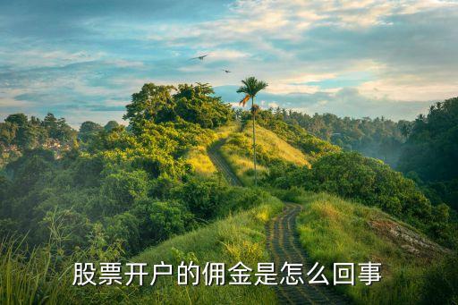 股票开户的佣金是怎么回事