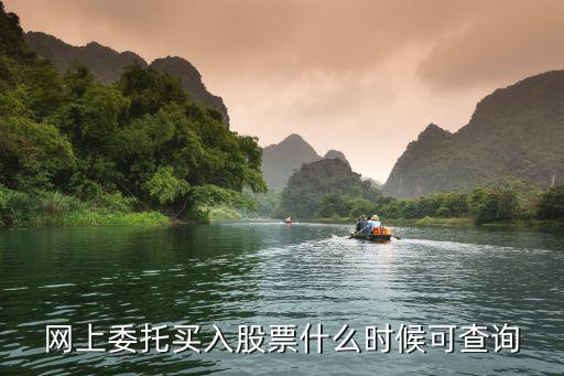 网上委托买入股票什么时候可查询