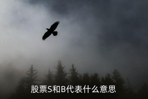 股票S和B代表什么意思