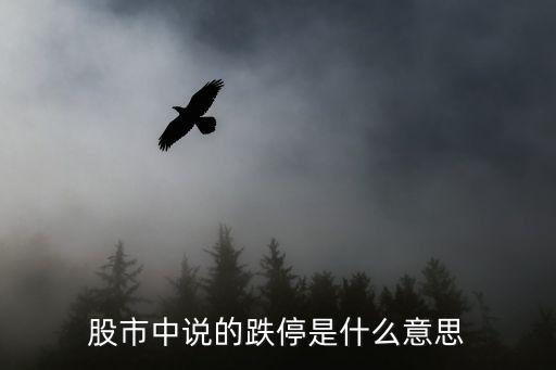 股市中说的跌停是什么意思