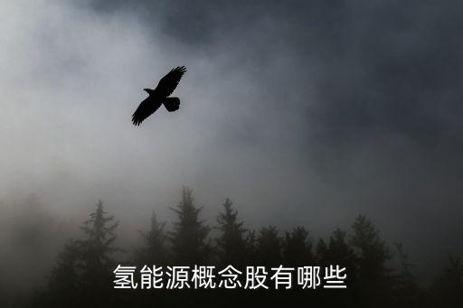 氢能源股票什么时候起飞，股票什么时候才能升