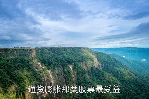 通货膨胀那类股票最受益