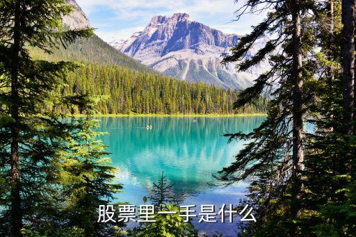 股票1手是什么意思，股票里一手是什么