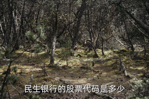 民生银行的股票代码是多少