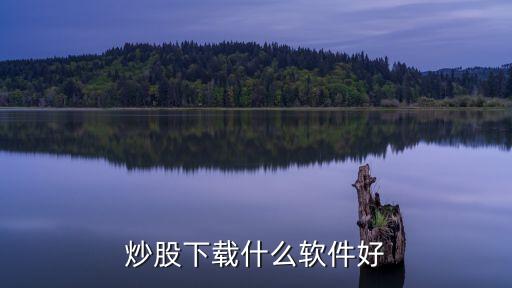 炒股下载什么软件好