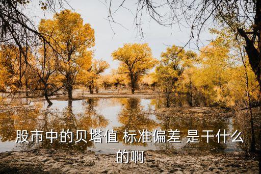 什么叫偏差股票，什么是股票中的股市标准差