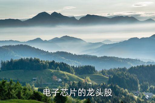 电子芯片的龙头股