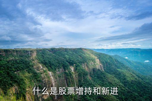 什么是股票增持和新进
