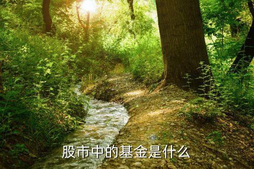 股票中的基金代表什么，在股市里基金是什么东西